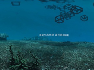 海洋牧场三维VR动画制作案例